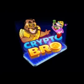 Crypto Bro