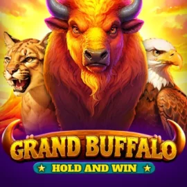 Grand Buffalo Hold and Win