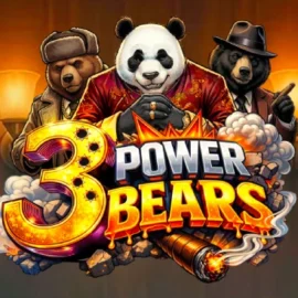 3 Power Bears