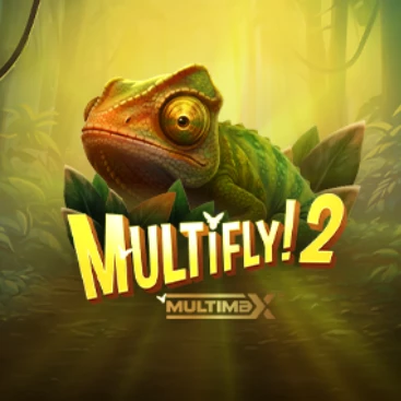 MultiFly! 2 MultiMax